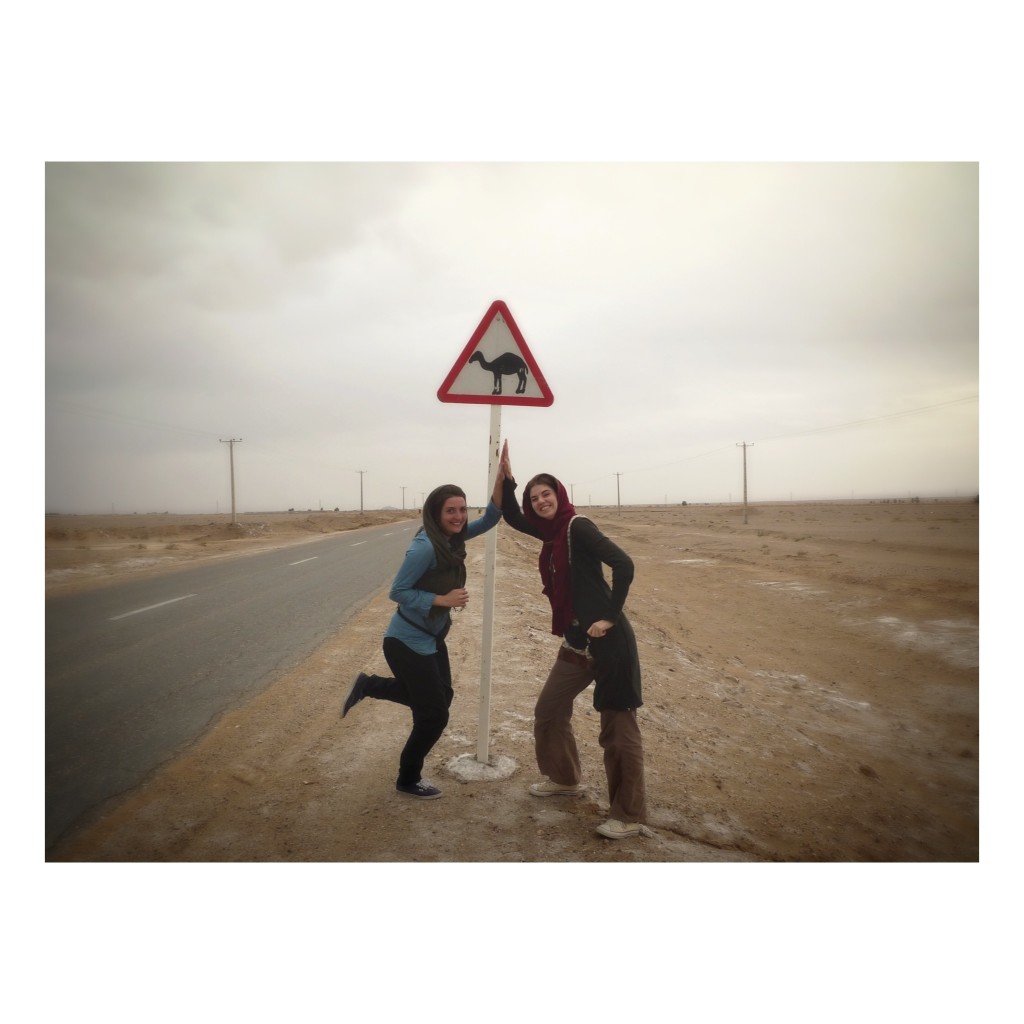 Susanne & Sascha op zoek naar kamelen
